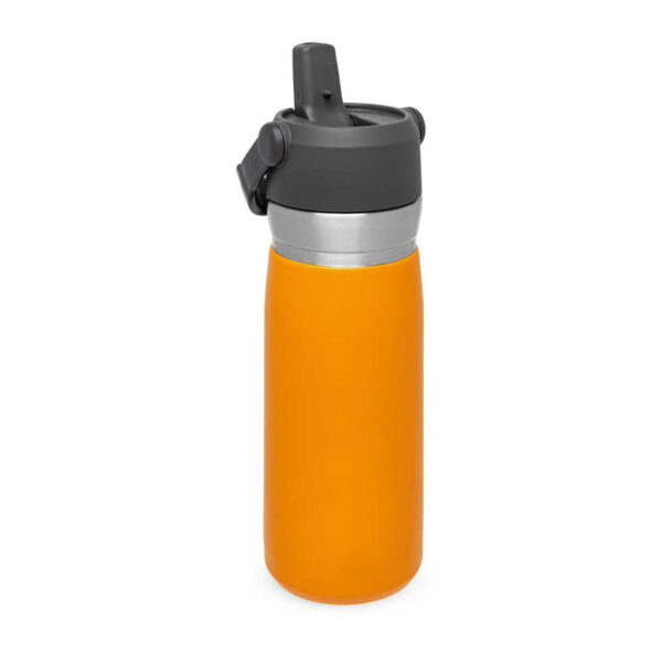 Botella 500ML Stanley